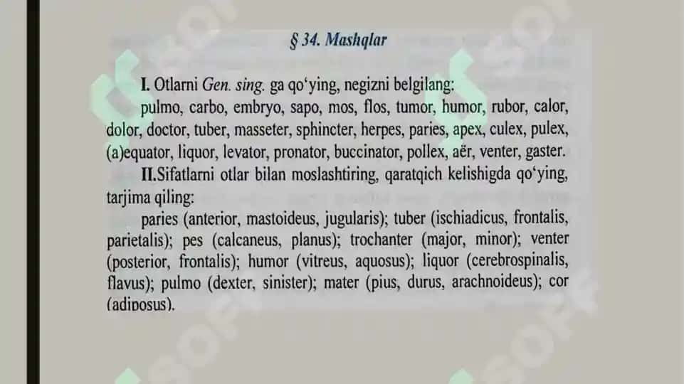 III turlanishdagi otlar. Genus masculinum. Genus femininum. Genus neutrum 7
