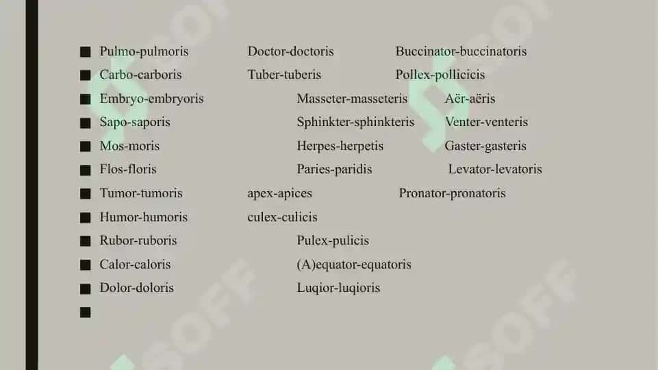 III turlanishdagi otlar. Genus masculinum. Genus femininum. Genus neutrum 8