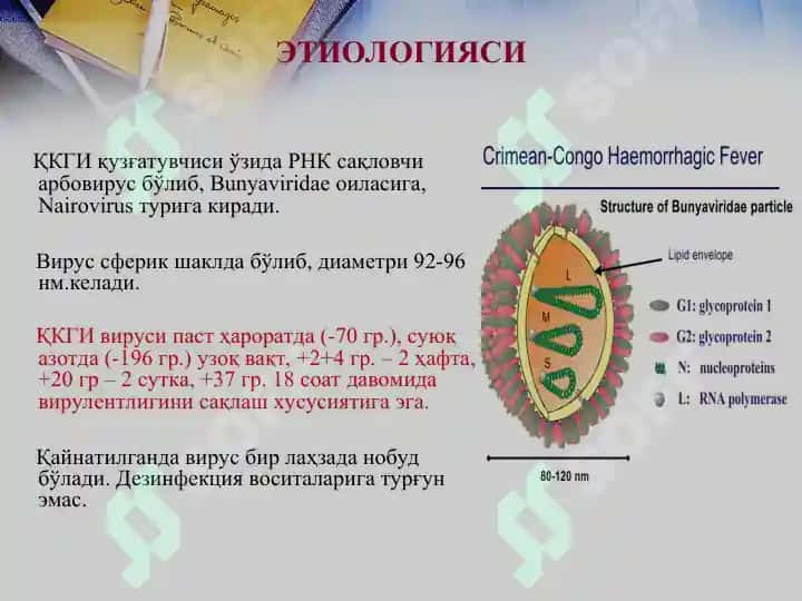 ҚРИМ-КОНГО ГЕМОРРАГИК ИСИТМАСИ 5