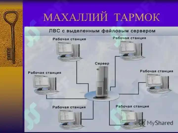 Tarmoq turlari 6