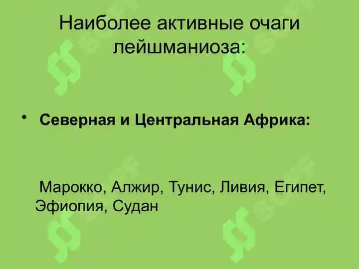 Лейшманиоз кожи, витилиго, лепра 4