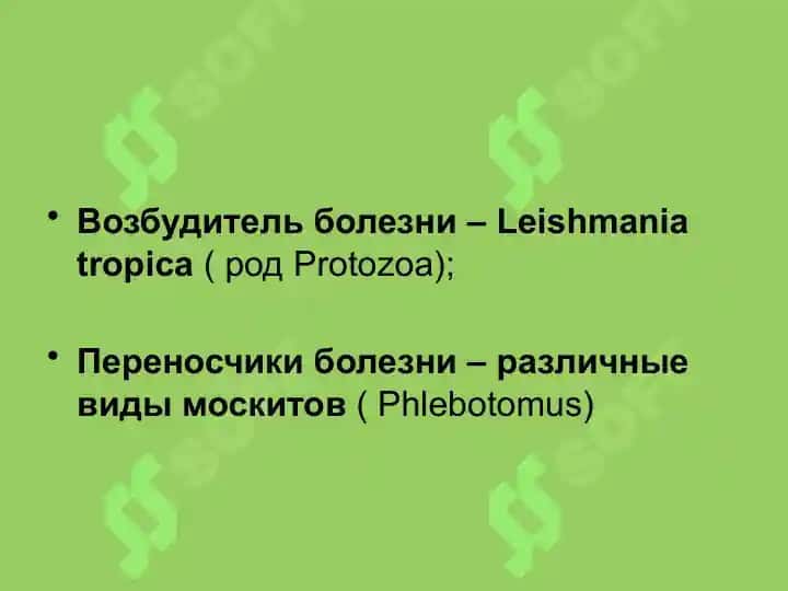 Лейшманиоз кожи, витилиго, лепра 8