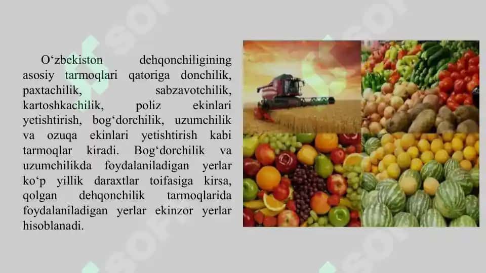 Viloyatlar bo‘yicha asosiy dehqonchilik ekinlarini yetishtirishni o‘rganish 3