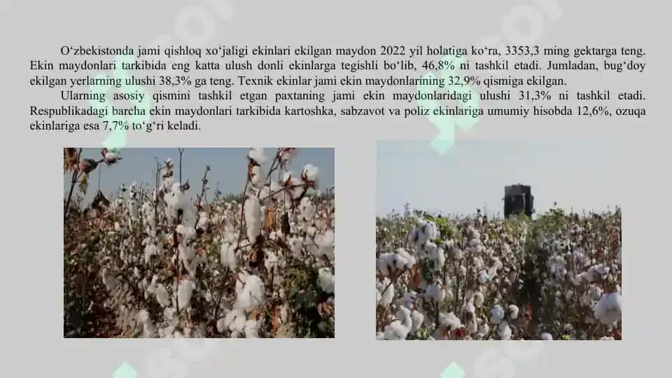 Viloyatlar bo‘yicha asosiy dehqonchilik ekinlarini yetishtirishni o‘rganish 4