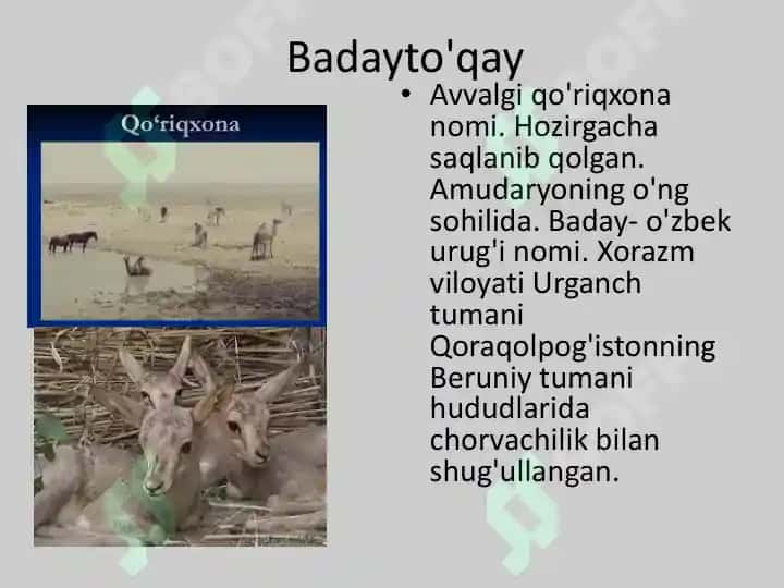 Qoraqolpoğiston Respublikasi toponimlari 4