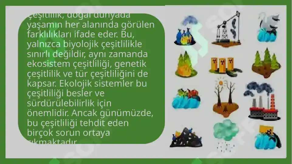 Çeşitlilik Sorunları ve Doğanın Ekoloji ile Bağlantısı 2