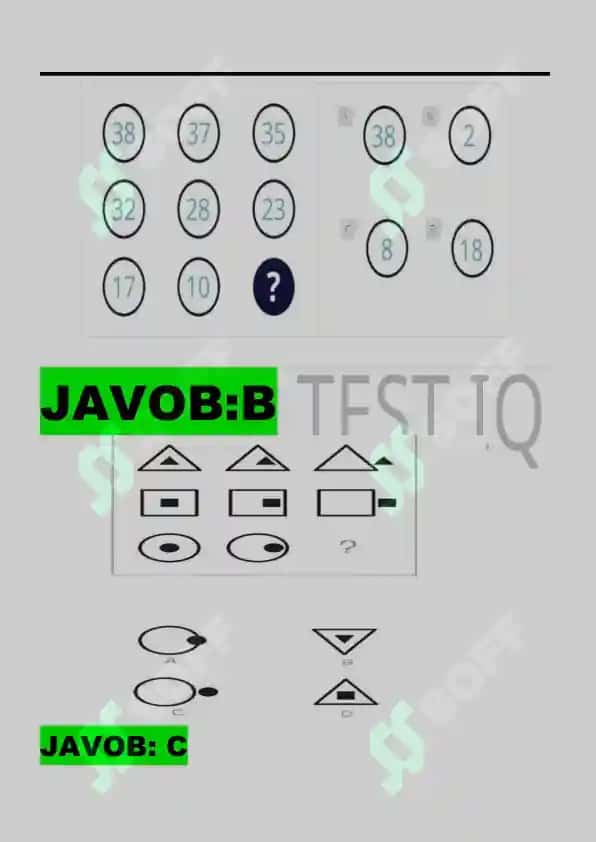 ARGOS IQ TEST JAVOBLARI BILAN 2025 2