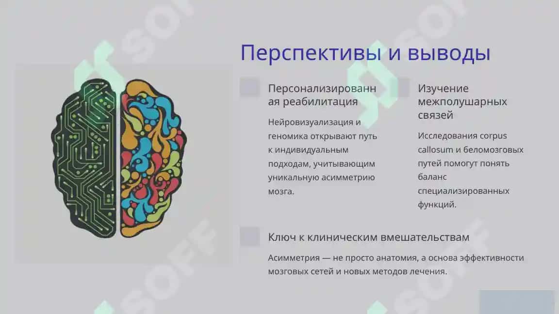 АССИМЕТРИЯ ПОЛУШАРИЯ 2