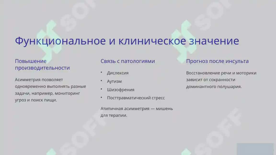 АССИМЕТРИЯ ПОЛУШАРИЯ 3
