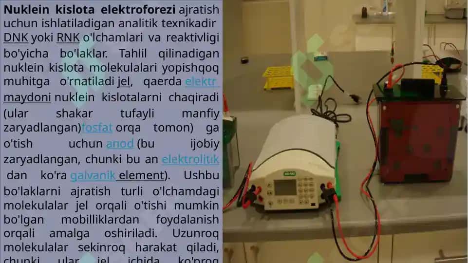 NUKLEIN KISLOTALARNING GEL-ELEKTROFORIZ USULI 2