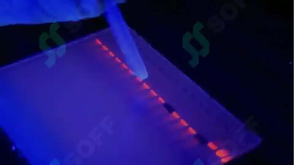 NUKLEIN KISLOTALARNING GEL-ELEKTROFORIZ USULI 4