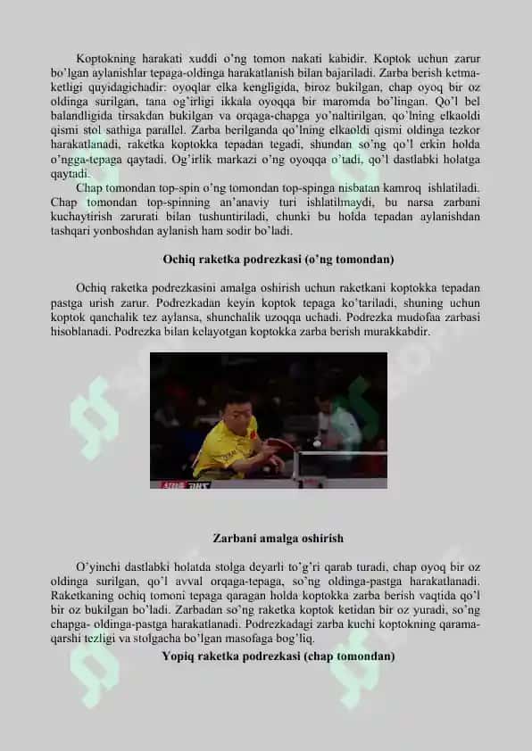 Stol tennisi 6