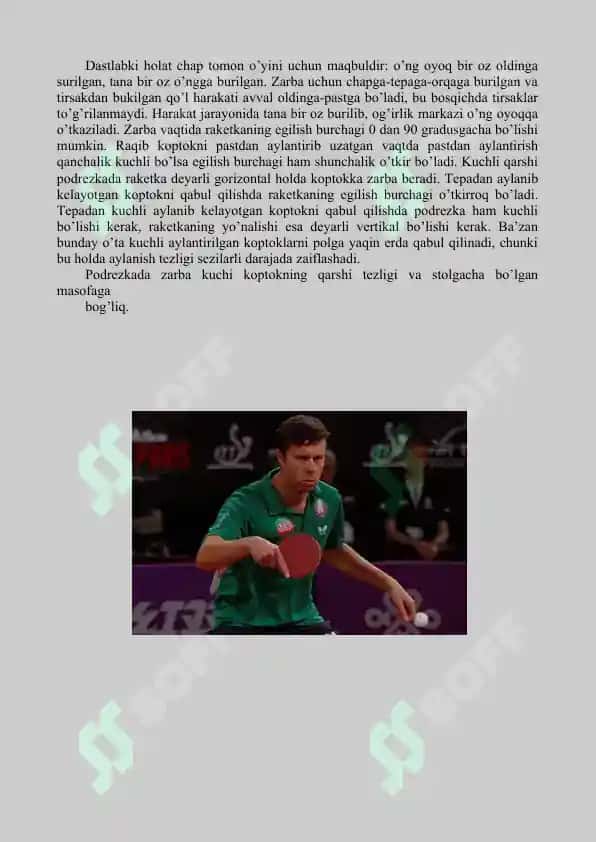 Stol tennisi 7