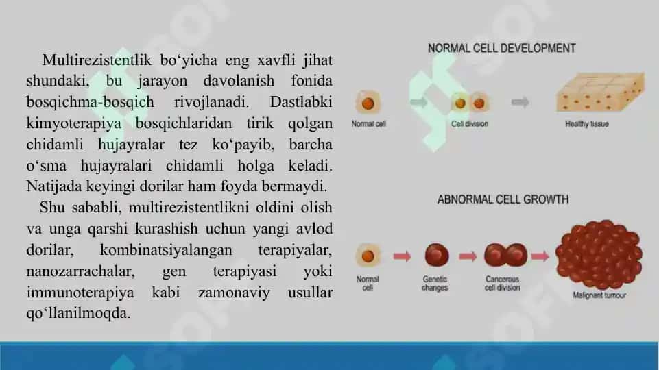 O'sma hujayralarining kimyoviy dori vositalariga multirezistentligi. Taqdimot 20 bet. 4