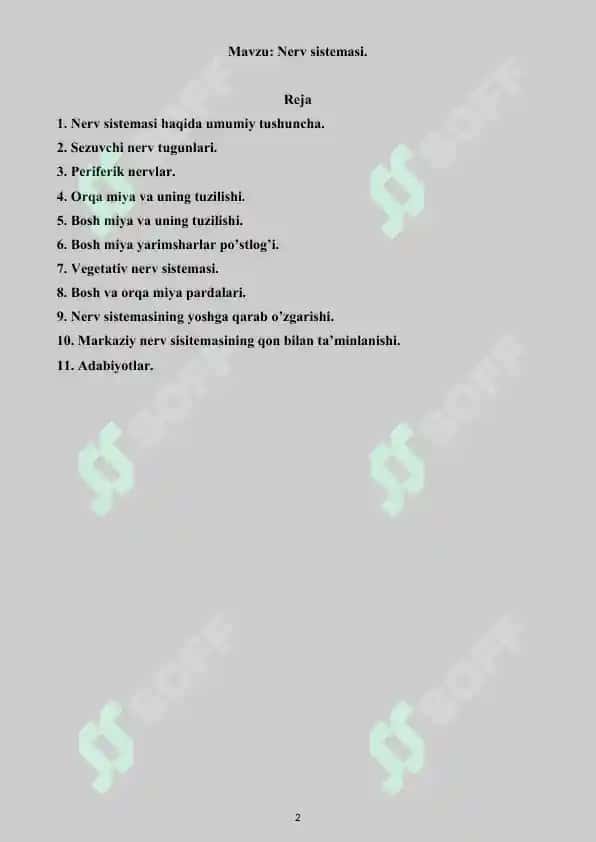 Nerv sistemasi. Referat 20 bet. 2