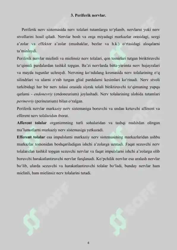 Nerv sistemasi. Referat 20 bet. 6