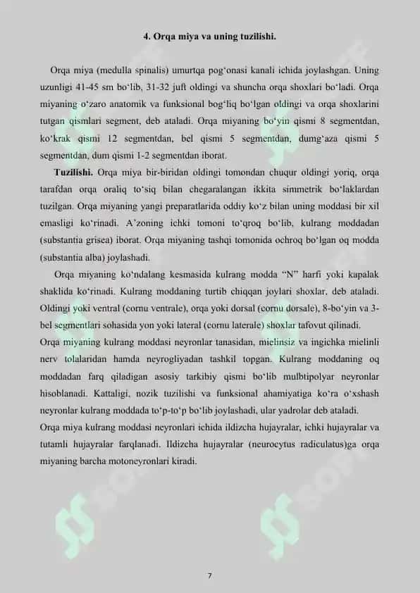 Nerv sistemasi. Referat 20 bet. 7