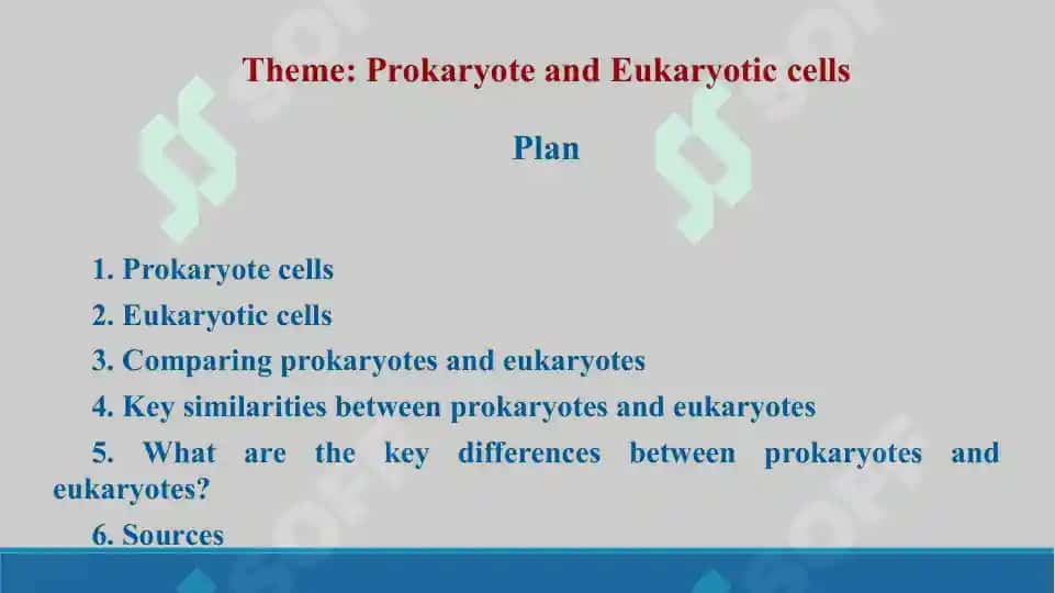 Prokaryote and Eukaryotic cells. Taqdimot, 16 bet. 2