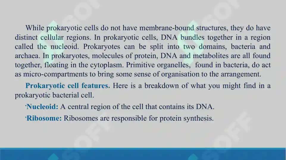 Prokaryote and Eukaryotic cells. Taqdimot, 16 bet. 4
