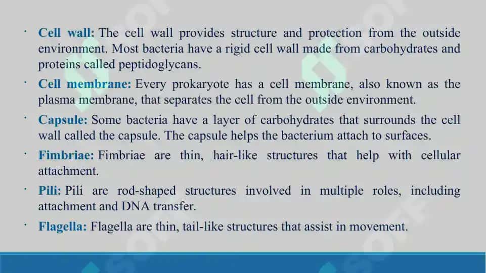 Prokaryote and Eukaryotic cells. Taqdimot, 16 bet. 5