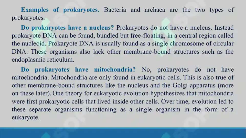 Prokaryote and Eukaryotic cells. Taqdimot, 16 bet. 6
