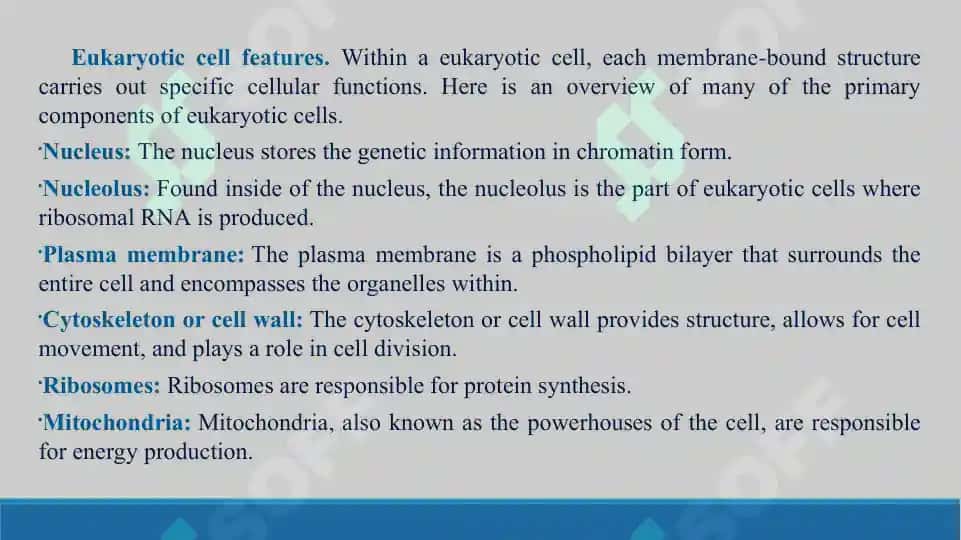 Prokaryote and Eukaryotic cells. Taqdimot, 16 bet. 8