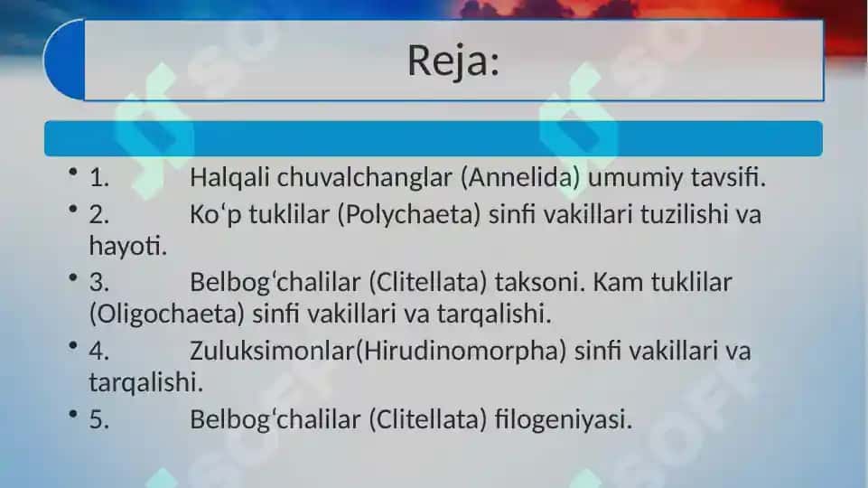 Halqali chuvalchanglar (Annelida) Echiura va Sipuncula tiplari 2