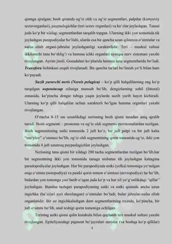 Halqali chuvalchanglar (Annelida) 4