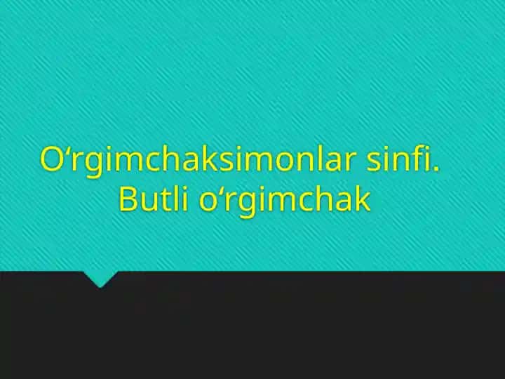 O‘rgimchaksimonlar sinfi. Butli o‘rgimchak