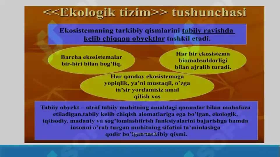 Ekologiya. Antropologiya. Biosfera. Taqdimot 15 bet. 4