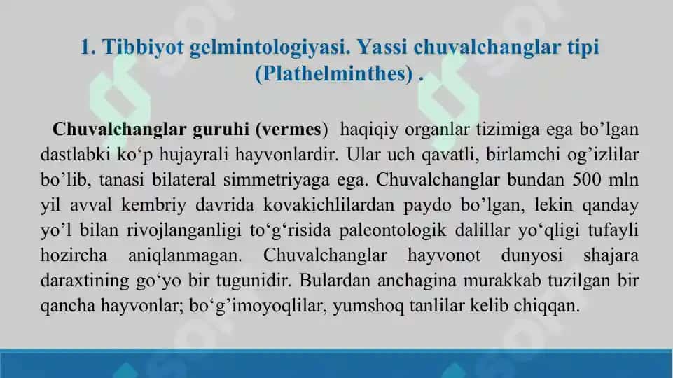 Tibbiyot gelmintologiyasi. Taqdimot 12 sahifa 2