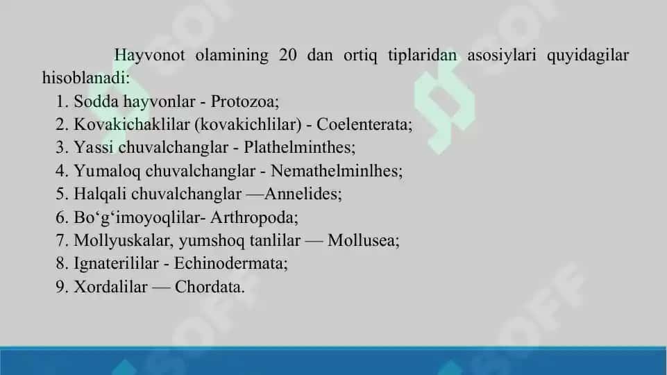 Tibbiyot parazitologiyasi.  Tibbiyot protozoologiyasi. Taqdimot 14 sahifa. 4