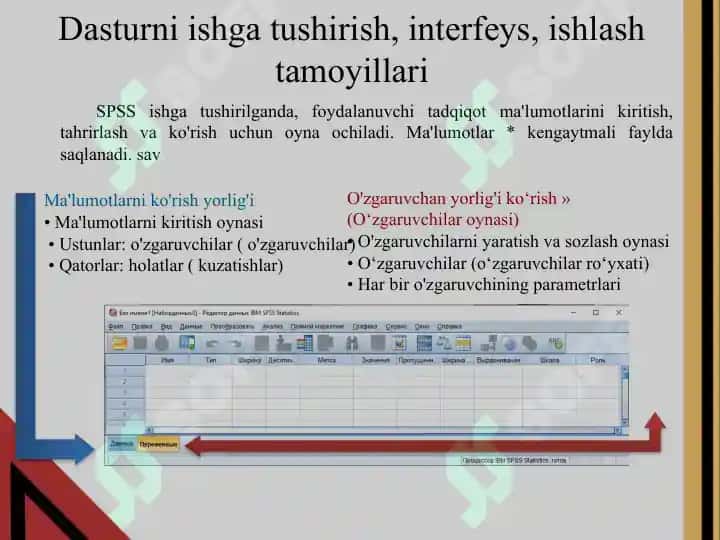SPSS dasturi 6