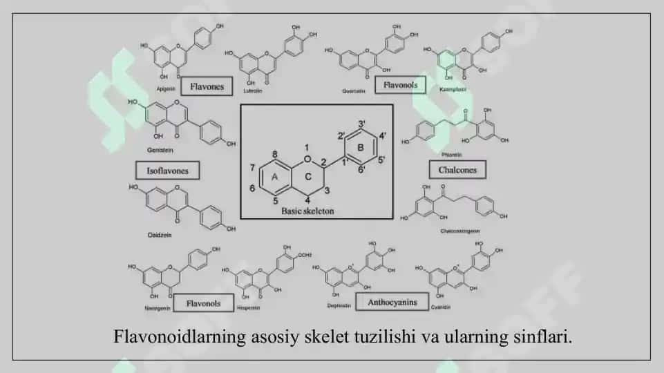 Tarkibida flavonoidlar saqlagan preparatlar va ularning turlari. 9 sahifa. 3