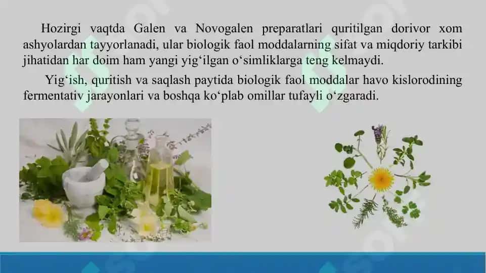 Yangi yig‘ilgan (quritilmagan) o‘simliklardan dori tayyorlash texnologiyasi (sharbat, balzam, eleksir). Taqdimot, 22 sahifa 3