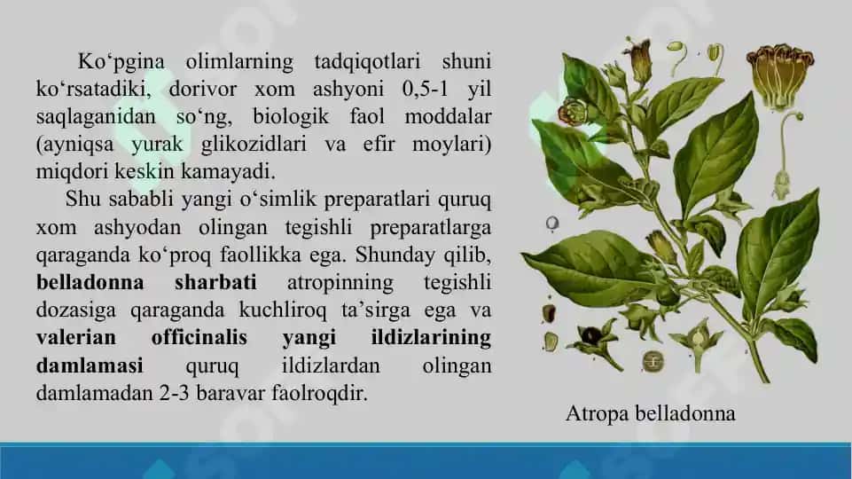 Yangi yig‘ilgan (quritilmagan) o‘simliklardan dori tayyorlash texnologiyasi (sharbat, balzam, eleksir). Taqdimot, 22 sahifa 4
