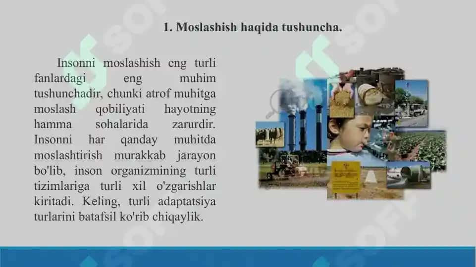 16. Moslashish. Insonlarda moslashish mexanizmlari. Ekstremal atrof-muhit sharoitlariga moslashish 2. Taqdimot 14 bet. 3