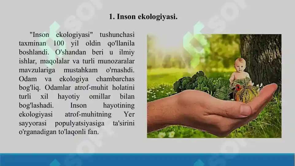 18. Ekologiya va inson salomatligi 2. Taqdimot 12 bet. 3