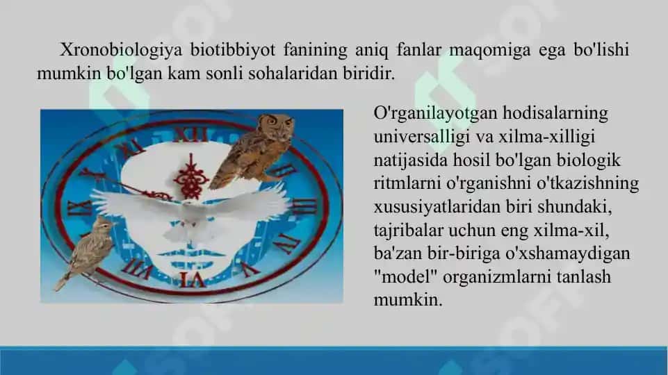 19. Xronobiologiya. Bioritmlarning moslashuvchanligi. Taqdimot 9 bet. 4
