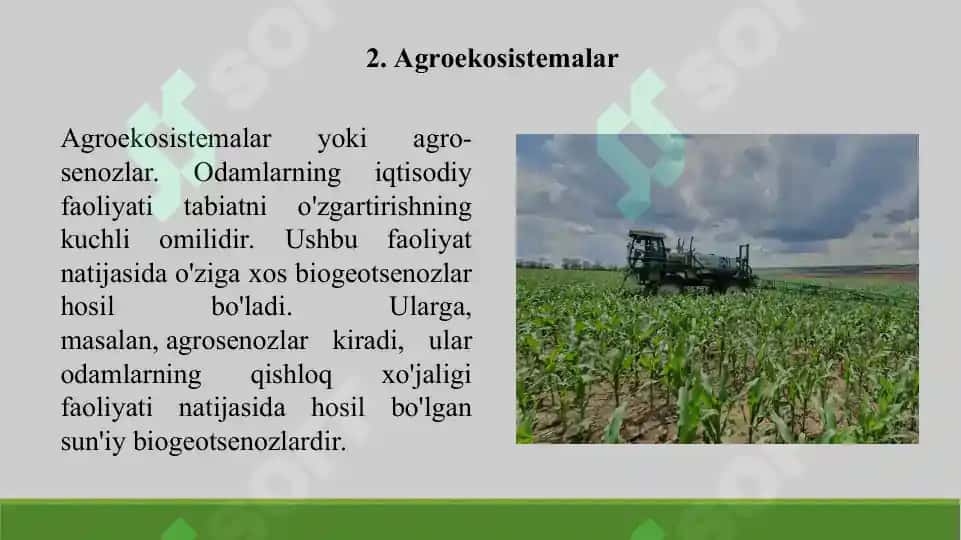 24. Antropogen ekotizimlar, agroekosistemalar. Taqdimot 11 bet. 4