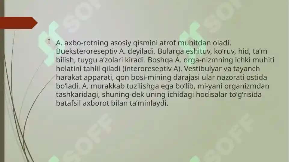 Ko`rish analizatori 4