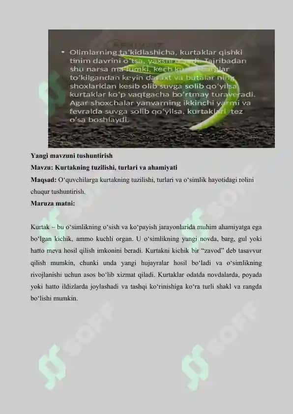 Biologiya fanidan 1 soatlik dars ishlanmasi 3
