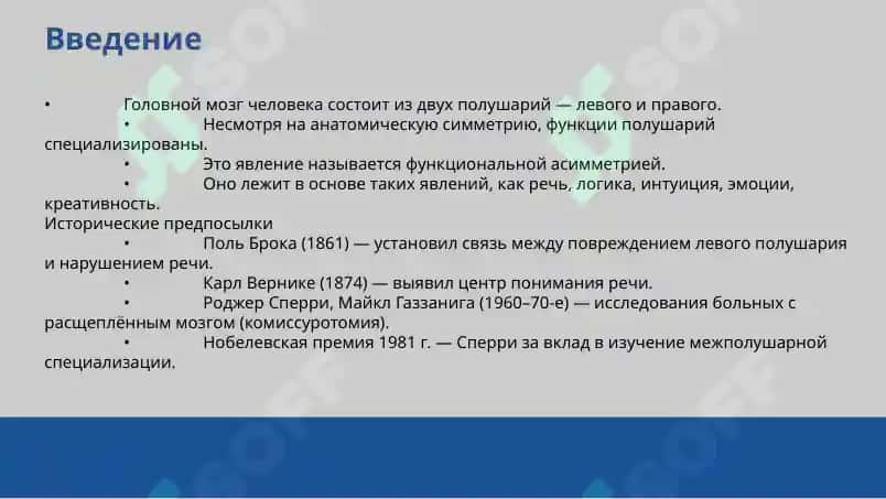 Функциональная асимметрия полушарий головного мозга 2