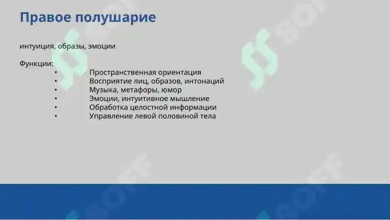 Функциональная асимметрия полушарий головного мозга 4