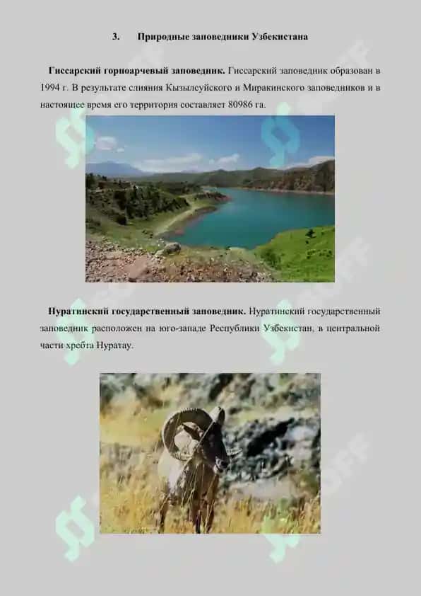 Заповедники, сущность и назначение. Реферат 7 лист. 4