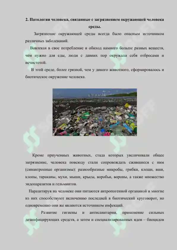 Эффективность адаптации. Экологические аспекты заболеваемости. Реферат 7 лист. 3