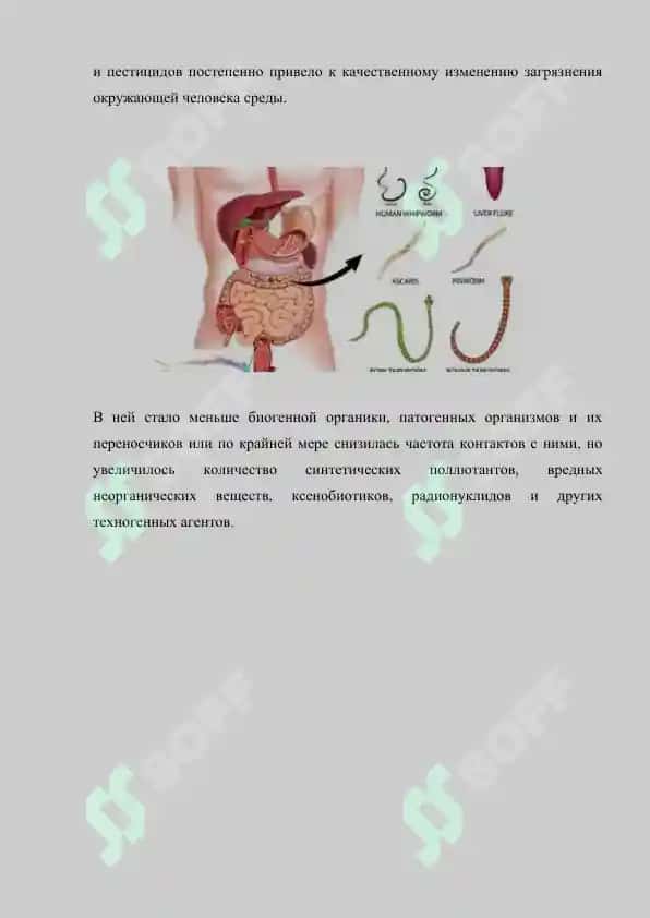 Эффективность адаптации. Экологические аспекты заболеваемости. Реферат 7 лист. 4