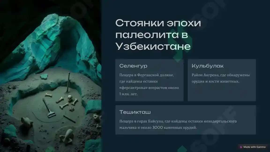 Этапы формирования человека и первобытнообщинного строя в Средней Азии 3