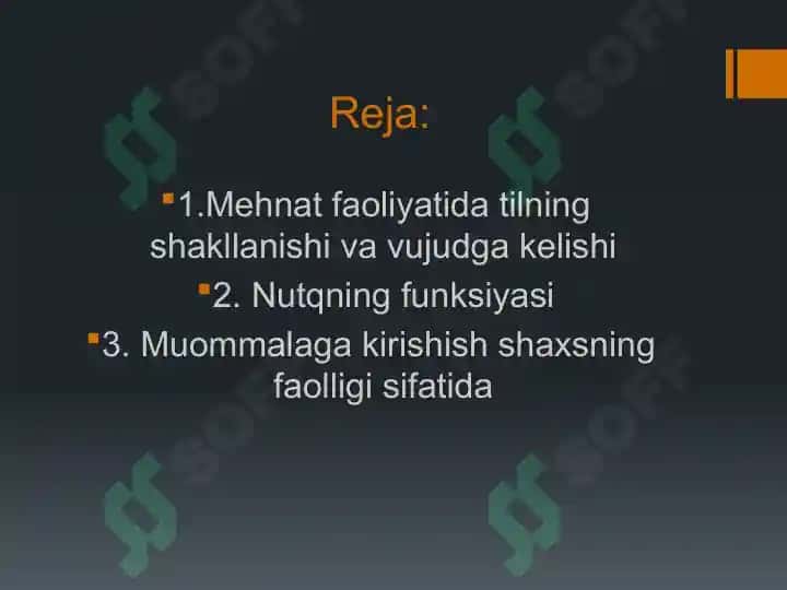 Insonlarda aks ettirish darajalari. Psixik jarayonlarini shakllantirishda tilning roli.pptx 2