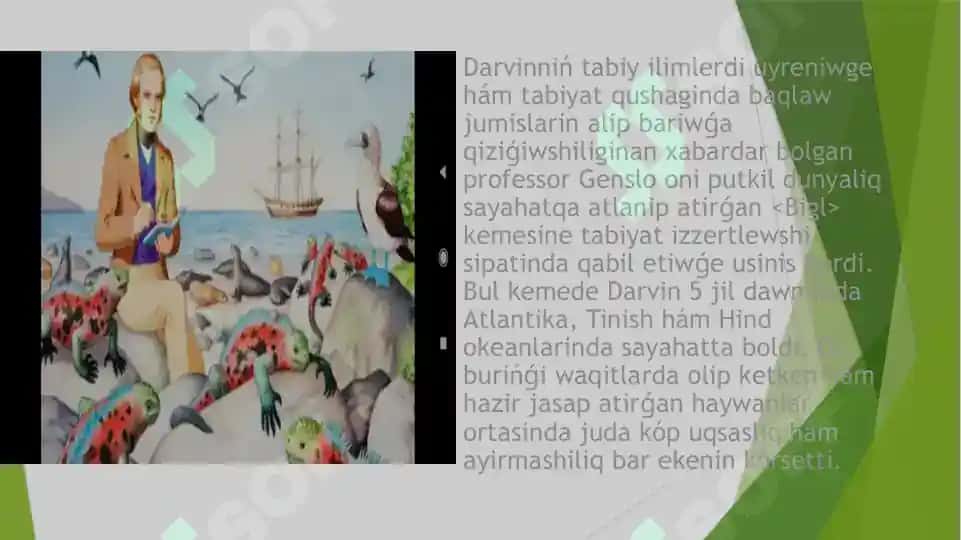 Tabiyiy ham jinsiy tanlaniw teoriyalari.pptx 4